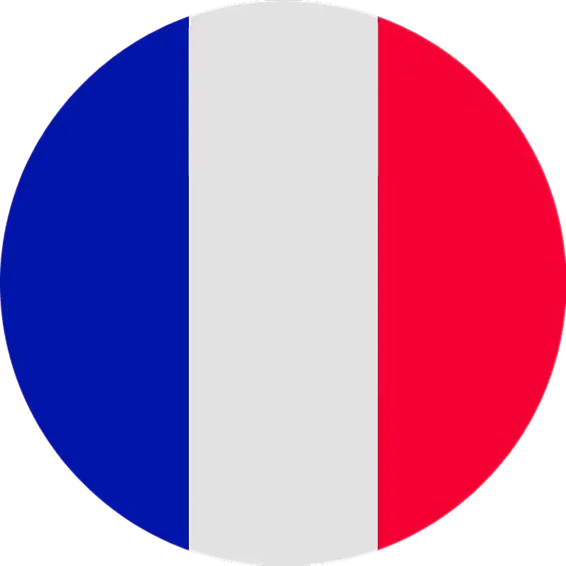 fransız bayrağı